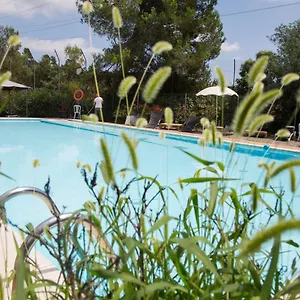 Inout , La Floresta Pearson Spain